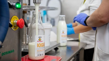 Una màquina omplint una botella de iogurt del projecte social La Lleteria de Talma en un obrador.