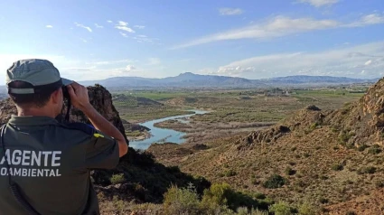 Un miembro de la brigada forestal vigilando al terreno