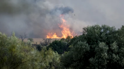 Vista del incendio en Navalcarnero, Madrid