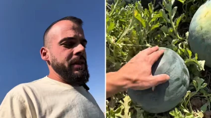Juan Miguel Suárez y una de las sandías