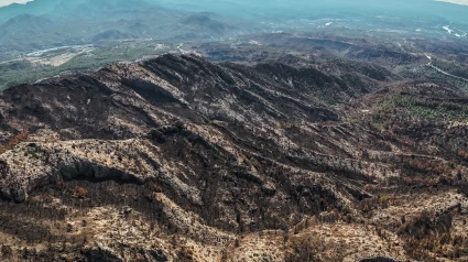 Alrededores de Xerta a vista de dron