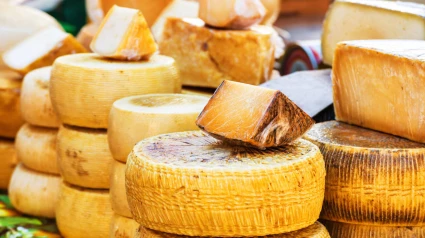 Tipos de quesos