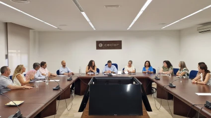 Reunión del PSOE con representantes del sector empresarial de Lorca para abordar la situación de los negocios afectados por las obras del Ave