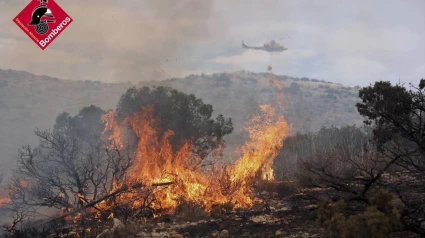 El incendio se ha originado pasadas las 13:00 horas en un paraje natural de Ibi.