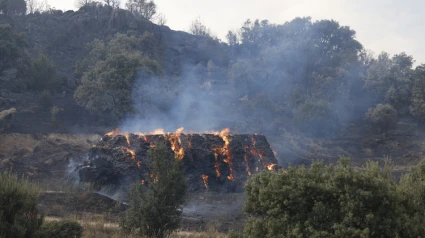 Incendio Navaluenga