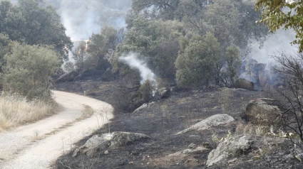 Armando García Cuenca. Daños incendio