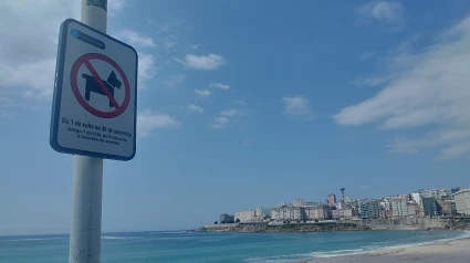 Cartel que regula la presencia de perros en la playa del Orzán de A Coruña