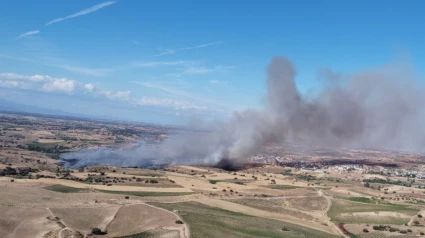 Incendio forestal en La Torre de Esteban Hambrán