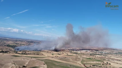 Incendio en La Torre de Esteban Hambrán