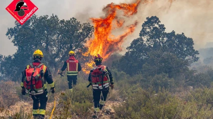 Fuego Ibi.