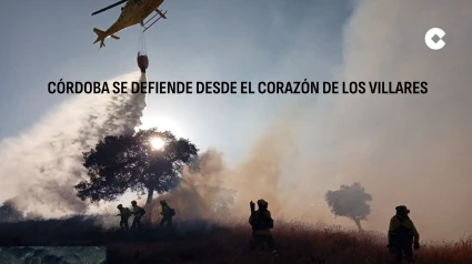 Reportaje sobre el trabajo que se realiza desde el Infoca