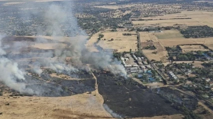 Zona afectada por el incendio de Sancha Brava