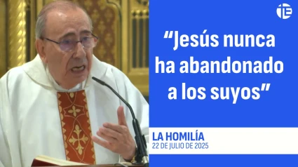 Homilía 22 de julio de 2025