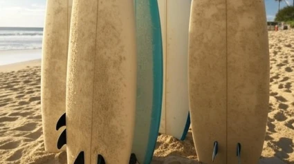 Cabe recurso contra la condena de cárcel al monitor de surf