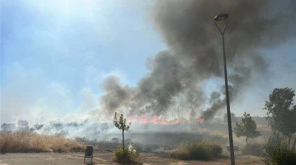 Incendio en Mérida, en la zona de pastos de la Heredad