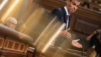 El presidente del Gobierno, Pedro Sánchez, interviene durante un pleno extraordinario, en el Congreso de los Diputados