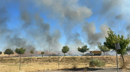Detenido un hombre por provocar el incendio de pastos en la zona de la Heredad de Mérida