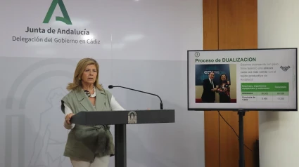 Isabel Paredes, delegada territorial de Desarrollo Educativo y Formación Profesional en Cádiz, en rueda de prensa.POLITICA JUNTA DE ANDALUCÍA