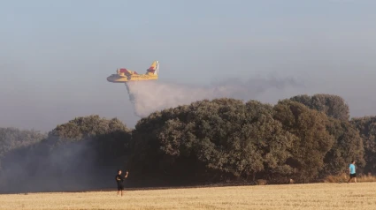 El incendio de Paredes de Monte (Palencia) alcanza el monte El Viejo ayudado por las fuertes rachas de viento Una veintena de medios aéreos y terrestres tratan de combatir las llamas