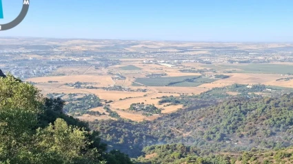 Zona afectada por el incendio forestal declarado en Córdoba.