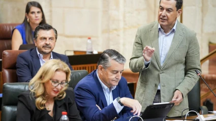El presidente de la Junta de Andalucía, Juanma Moreno, interviene durante la sesión de control en el pleno del Parlamento andaluz