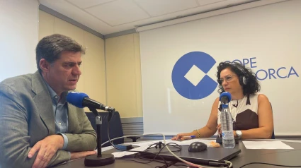 El conseller de Turismo, Jaume Bauzá durante la entrevista