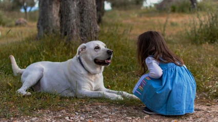 Javier De Haro habla de los beneficios de tener un perro