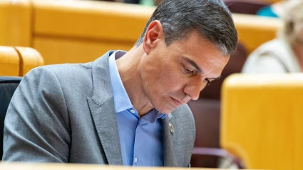 Pedro Sánchez lidera al PSOE en el Congreso de los Diputados