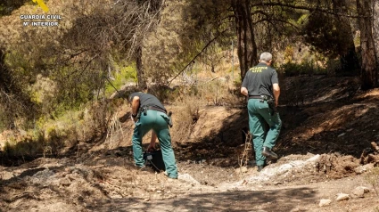 Dos agentes buscan sobre el terreno claves del origen del incendio de Ibi.