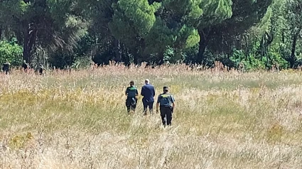La Guardia Civil busca a la joven por la zona de Peñafiel