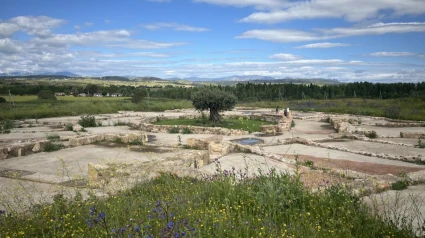 Imagen de la villa romana de Valdetorres del Jarama