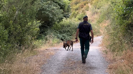 Regresa sano y salvo a su vivienda el hombre desaparecido en Nieva de Cameros