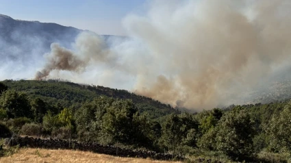 Incendio Cuevas del Valle