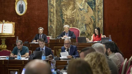 Pleno de la Diputación de Córdoba.