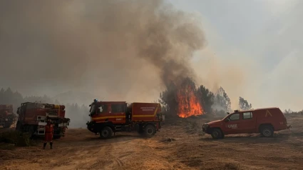 Incendio Cuevas del Valle