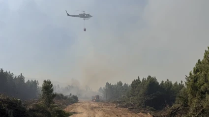Incendio Cuevas del Valle