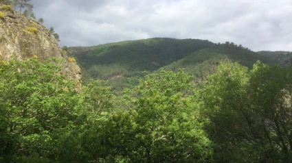 Los vecinos vigilan los montes de As Somozas