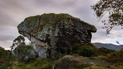 Peña tú
