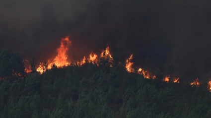 Incendio forestal declarado en las inmediaciones de A Cañiza. Los servicios de extinción lidian este miércoles en Galicia con hasta cinco incendios forestales de importante tamaño que afectan a las provincias de Lugo, Ourense y Pontevedra y que, de forma acumulada, han quemado más de 155 hectáreas de terreno