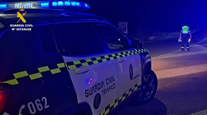 Detenido tras conducir 22 kilómetros ensentido contrario por la autovía
