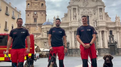 Los bomberos y los perritos en el entorno de la Catedral