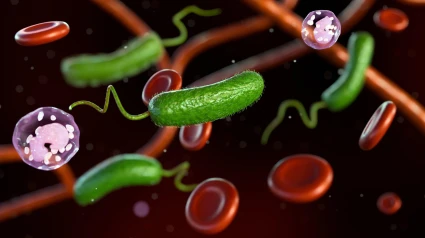 La bacteria 'Vibrio vulnificus' puede producirte terribles consecuencias.