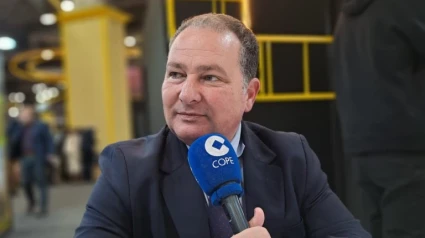 David Toscano, presidente de la Diputación de Huelva