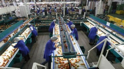 El paro baja en Almería casi un 10% en el último año