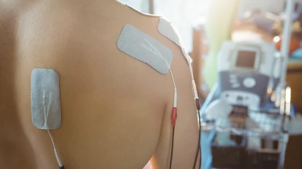 Cronobiología, escuchar el reloj de cada órgano de nuestro cuerpo