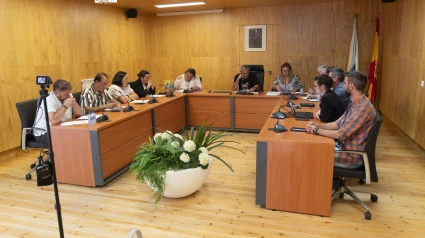 Pleno de julio