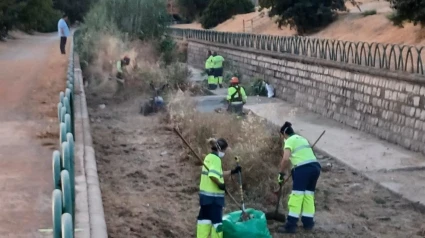 Labores de desbroce y limpieza en el cauce del río Monachil