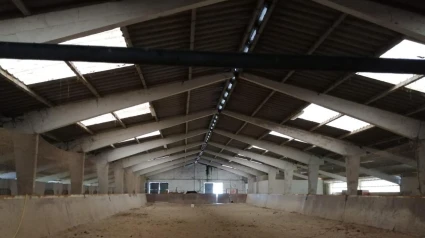 Interior de la nave que se pretende modificar en San Ramón de Moeche