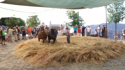 35 años recreando en Pórtugos la Fiesta de la Parva