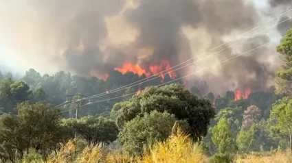 Incendio El Salobre